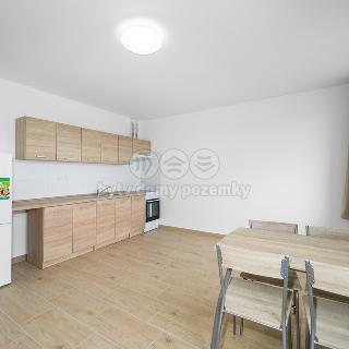 Pronájem bytu 2+kk 45 m² Dnešice