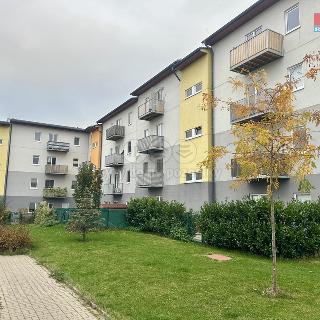 Pronájem bytu 2+kk 51 m² Kladno, Generála Selnera