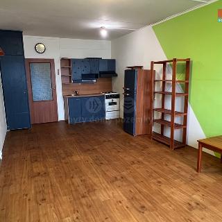 Pronájem bytu 1+kk a garsoniéry 32 m² Strakonice, Na Ohradě