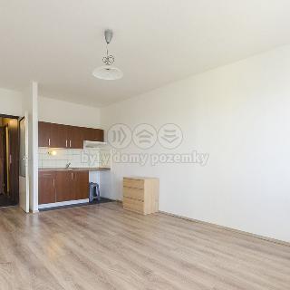 Prodej bytu 1+kk a garsoniéry 26 m² Ostrava, Hornopolní