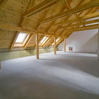 Prodej bytu 3+1 153 m² Rejštejn