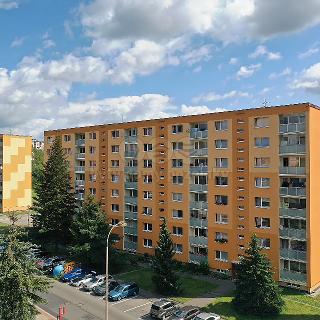 Prodej bytu 2+kk 41 m² Česká Lípa, Dlouhá