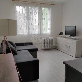 Pronájem bytu 1+kk a garsoniéry 20 m² Kaznějov, Školní