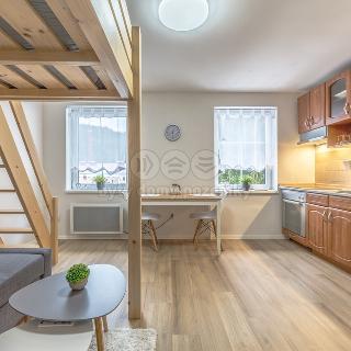 Prodej bytu 1+kk, garsoniery 28 m² Kořenov