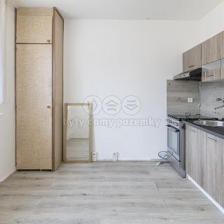 Prodej bytu 1+1 36 m² Frýdek-Místek, K Hájku