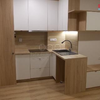 Pronájem bytu 1+kk a garsoniéry 24 m² Ostrava, Jaselská