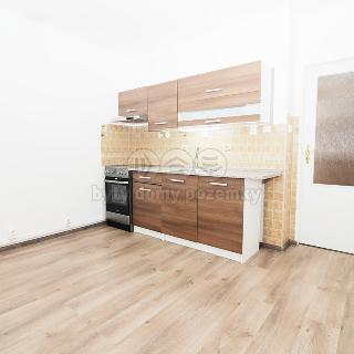 Pronájem bytu 1+1 38 m² Nový Bor, Husova