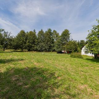 Prodej chalupy 280 m² Šternberk