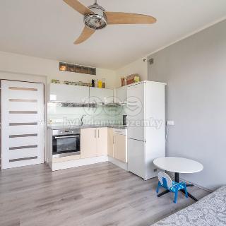 Pronájem bytu 1+kk a garsoniéry 21 m² Kladno, Moskevská