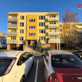 Pronájem bytu 3+1 75 m² Ostrava, Na Výspě