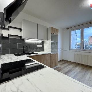 Prodej bytu 2+1 42 m² České Budějovice, Staroměstská