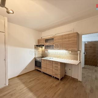 Pronájem bytu 1+1 35 m² Rychnov nad Kněžnou, SNP