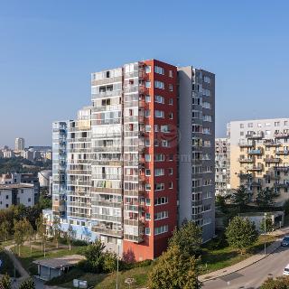 Prodej bytu 2+kk 56 m² Praha, V dolině