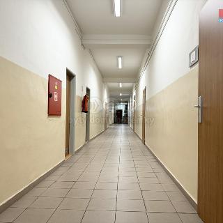 Pronájem kanceláře 70 m² České Budějovice, K. Světlé