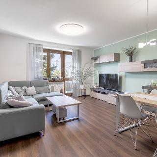 Prodej bytu 3+1 75 m² Frýdek-Místek