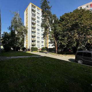 Pronájem bytu 3+1 58 m² Benešov, Bezručova