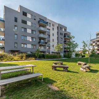 Prodej bytu 1+1 38 m² Praha, Laponská