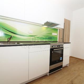 Pronájem bytu 1+1 38 m² Nový Bor, Severní