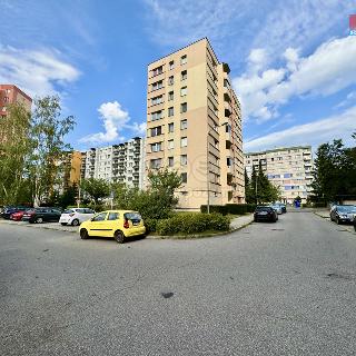 Prodej bytu 3+1 72 m² České Budějovice, Netolická