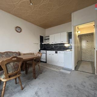 Prodej bytu 1+1 36 m² Chomutov, Písečná