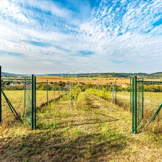 Prodej zemědělské půdy 1263 m² Čebín