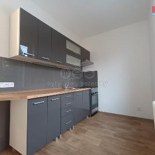 Pronájem bytu 2+1 48 m² Děčín, Riegrova