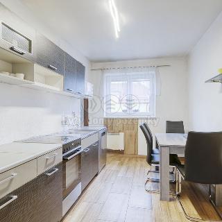 Pronájem bytu 2+1 74 m² Kralovice, Na Palcátech