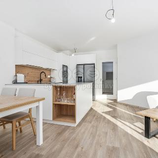 Prodej bytu 4+kk 101 m² Praha, Na Plískavě