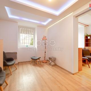 Prodej bytu 1+kk a garsoniéry 29 m² Praha, Za Pohořelcem