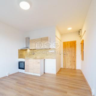 Pronájem bytu 1+kk a garsoniéry 24 m² Františkovy Lázně, Žižkova