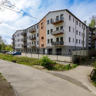 Prodej bytu 3+kk 90 m² Cheb, Břehnická