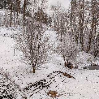 Prodej stavební parcely Osečná