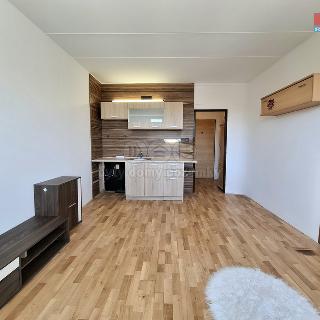 Prodej bytu 1+kk a garsoniéry 19 m² Chodov, Palackého