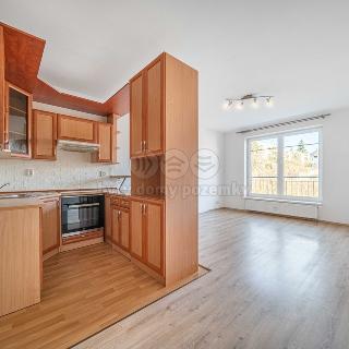 Pronájem bytu 1+kk a garsoniéry 33 m² Plzeň, Květná