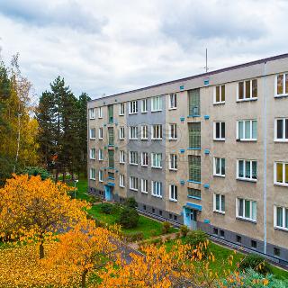 Pronájem bytu 2+1 56 m² Česká Lípa, Antonína Sovy