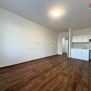 Pronájem bytu 1+kk a garsoniéry 29 m² Ostrava, Výškovická