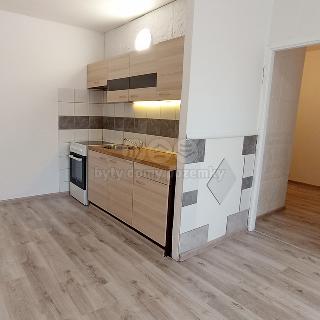 Pronájem bytu 2+kk 40 m² Most, Lidická