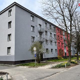 Prodej bytu 1+1 37 m² Ostrava, Krasnoarmejců