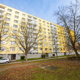 Pronájem bytu 1+1 32 m² Hradec Králové