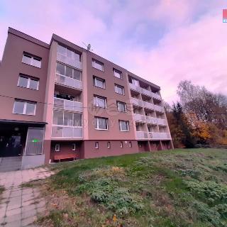 Prodej bytu 1+kk a garsoniéry 21 m² Moravský Beroun, Partyzánská