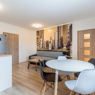 Pronájem bytu 2+kk 56 m² Plzeň, Dílenská