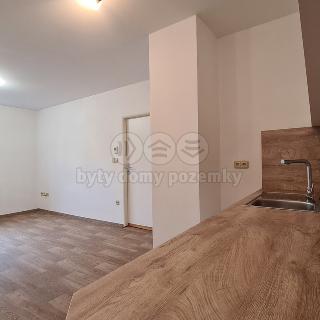 Pronájem bytu 2+kk 65 m² Štěpánovice