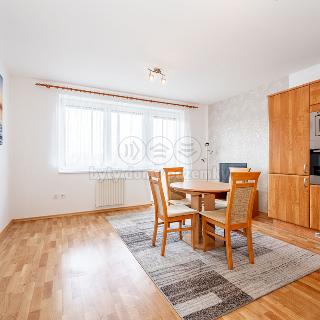 Pronájem bytu 1+1 28 m² Velké Meziříčí, Školní