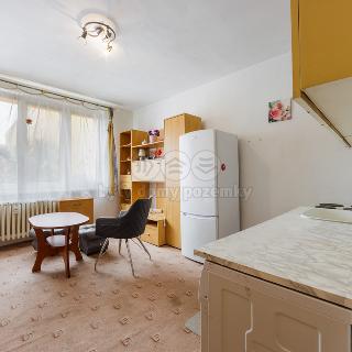 Prodej bytu 1+kk a garsoniéry 20 m² Horní Slavkov, Dlouhá