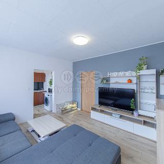 Prodej bytu 2+1 43 m² Olomouc, Skupova