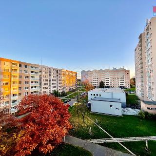 Prodej bytu 2+kk 42 m² Praha