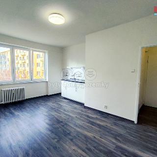 Pronájem bytu 1+kk a garsoniéry 22 m² Havířov, Dělnická