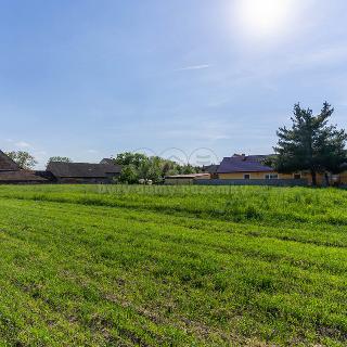 Prodej stavební parcely 1 550 m² Konárovice