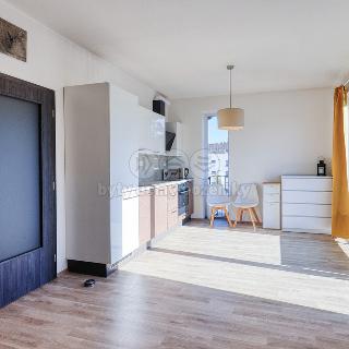 Prodej bytu 1+kk a garsoniéry 30 m² Plzeň, Křepelková