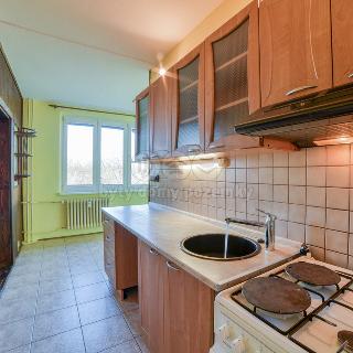 Prodej bytu 3+1 77 m² Cheb, Lesní